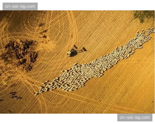 无人机机群航拍视角通过体系互联 带来震撼的宏观赛场动态视觉视野